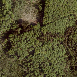 Satellite imagery of Eiselberg, DE