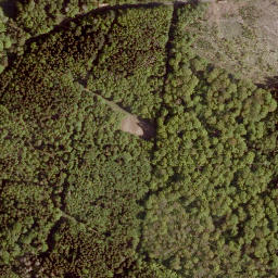 Satellite imagery of Eiselberg, DE