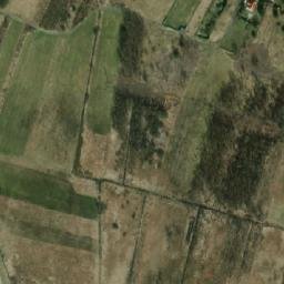 Satelita