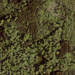 Satellite imagery of Eiselberg, DE