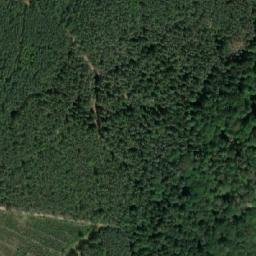 Satellite imagery of Hamerský Špičák [Hamr na Jezeře], CZ