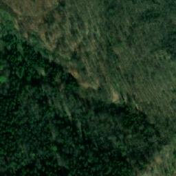 Satellite imagery of Zamek Rogowiec, PL