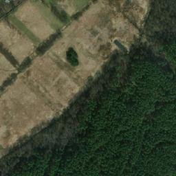 Satelita