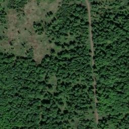 Satellite imagery of Bildstein, DE
