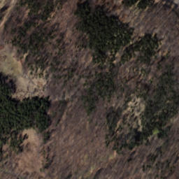 Satellite imagery of Zamek Radosno, PL