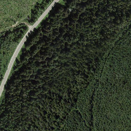 Satellite imagery of Galena Pass, CA