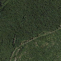 Satellite imagery of Galena Pass, CA