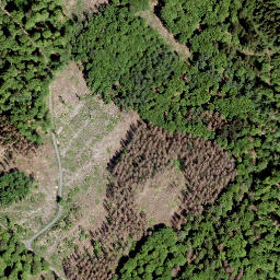 Satellite imagery of Nauberg, DE