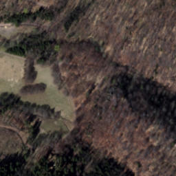 Satellite imagery of Zamek Radosno, PL