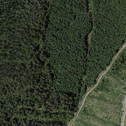Satellite imagery of Galena Pass, CA