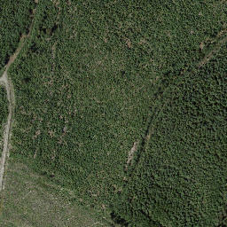 Satellite imagery of Galena Pass, CA