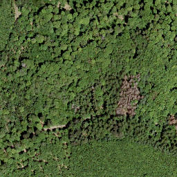 Satellite imagery of Nauberg, DE