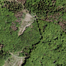 Satellite imagery of Nauberg, DE