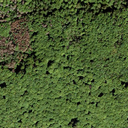 Satellite imagery of Nauberg, DE