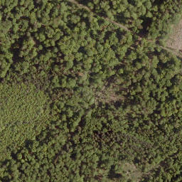 Satellite imagery of Totenberg, DE