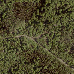 Satellite imagery of Kahlenberg, DE