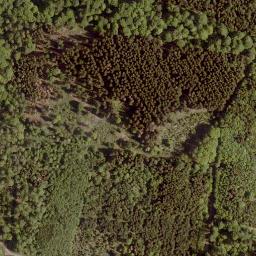 Satellite imagery of Kahlenberg, DE
