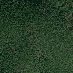 Satellite imagery of Lositz, DE