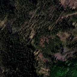 Satellite imagery of Zamek Radosno, PL