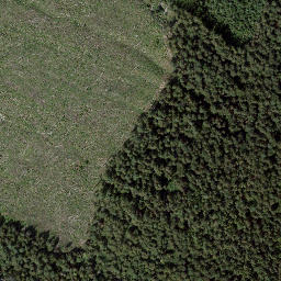 Satellite imagery of Galena Pass, CA