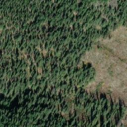 Satellite imagery of Nettie L. Mountain, CA