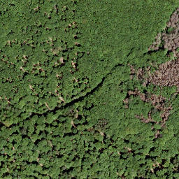 Satellite imagery of Nauberg, DE