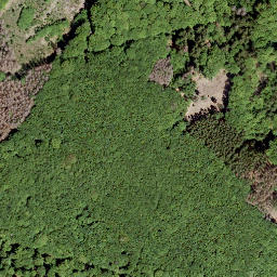 Satellite imagery of Nauberg, DE