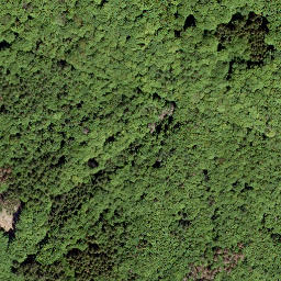 Satellite imagery of Nauberg, DE