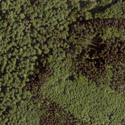Satellite imagery of Totenberg, DE
