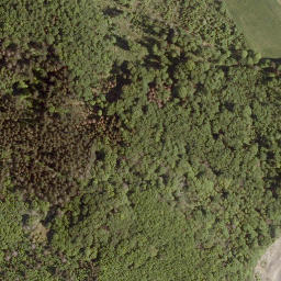 Satellite imagery of Totenberg, DE