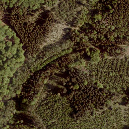 Satellite imagery of Steinberg, DE