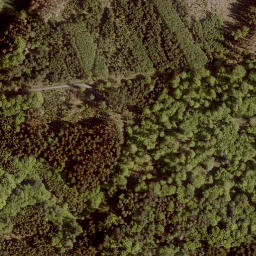 Satellite imagery of Steinberg, DE
