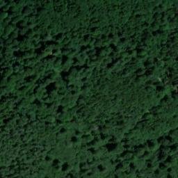 Satellite imagery of Jungholzberg, DE