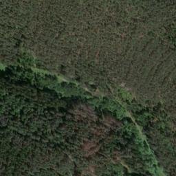 Satellite imagery of Mittelberg, DE