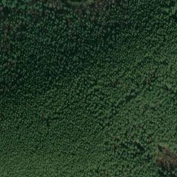 Satellite imagery of Lositz, DE