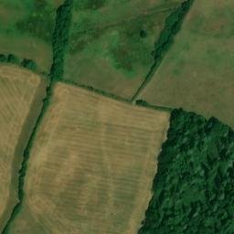 Satellite imagery of Bindon Abbey, GB