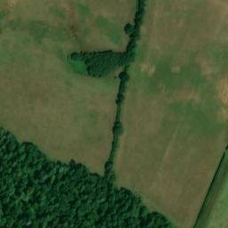 Satellite imagery of Bindon Abbey, GB