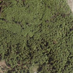 Satellite imagery of Totenberg, DE