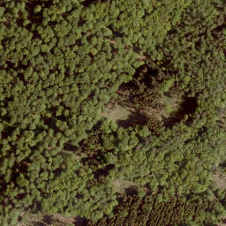 Satellite imagery of Steinberg, DE