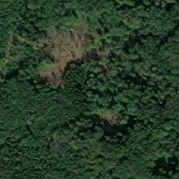 Satellite imagery of Králův les [Stružnice-Jezvé], CZ