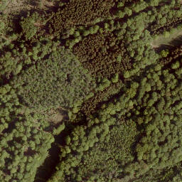 Satellite imagery of Steinberg, DE