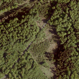 Satellite imagery of Steinberg, DE