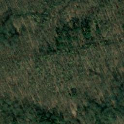 Satellite imagery of Schellkopf, DE