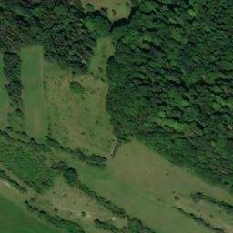 Satellite imagery of Kuhkopf, DE