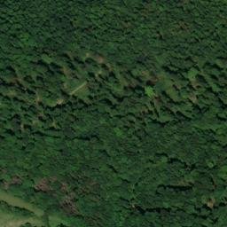 Satellite imagery of Kuhkopf, DE