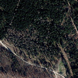 Satellite imagery of Buchenberg, DE