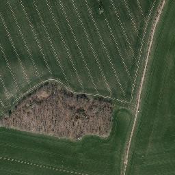 Satellite imagery of Trig point near Saale-Orla-Kreis, Thuringia (DE), DE