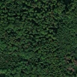 Satellite imagery of Kozel, CZ