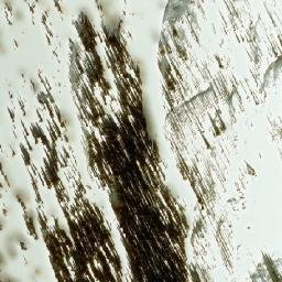 Satellite imagery of Phacelia Pass, CA