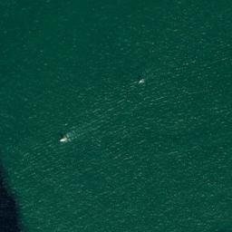 Satellite imagery of The Needles, GB
